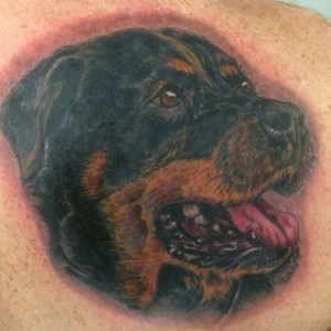 Tattoo Rottweiler Portrait